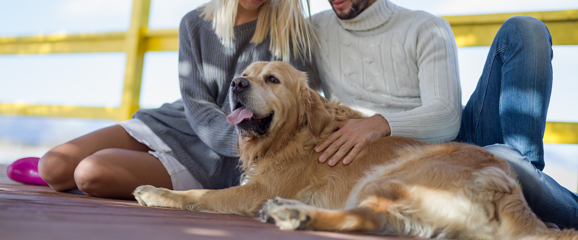 Care for pets