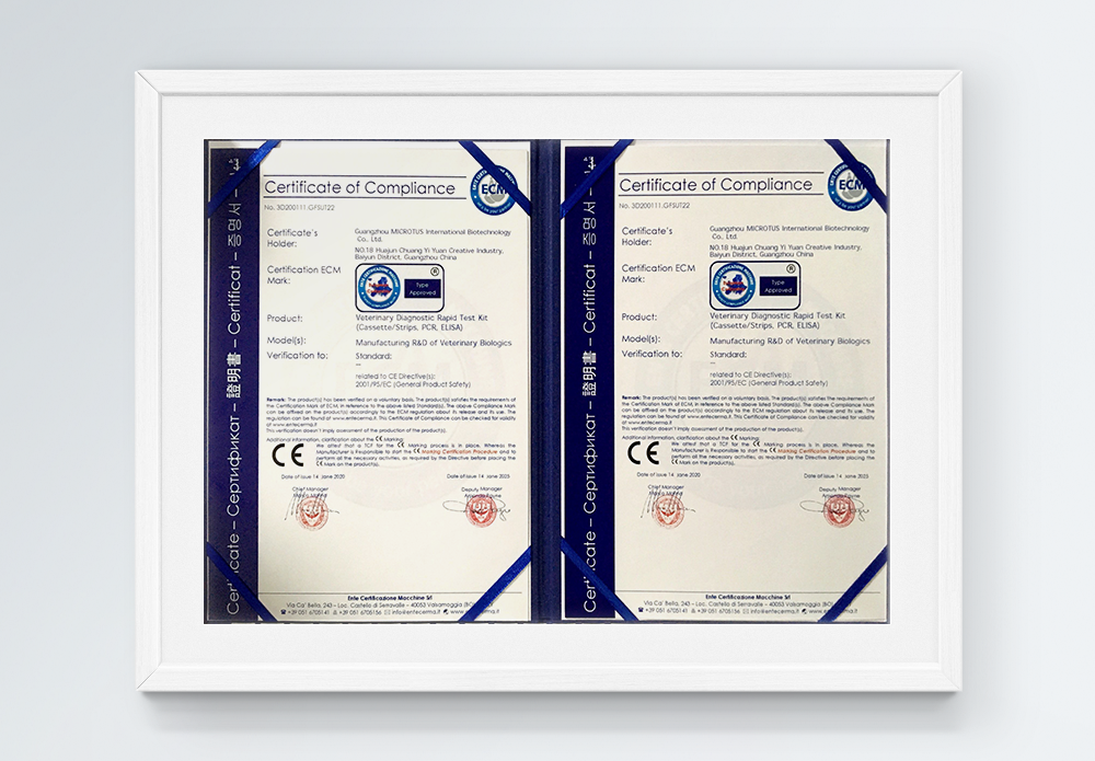 CE Certificate