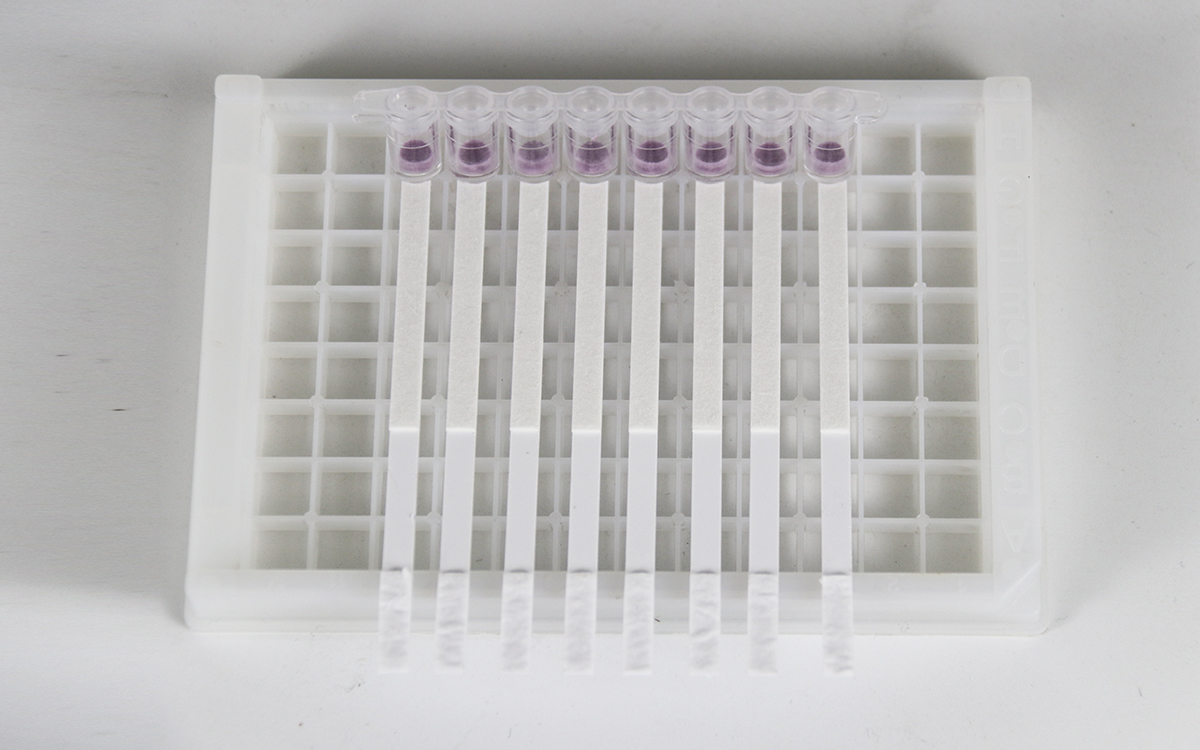 FlouroQuinolones+Lincomycin+Tylosin &Tilmicosin Rapid Test Kit 10ppb (96 tests) 
