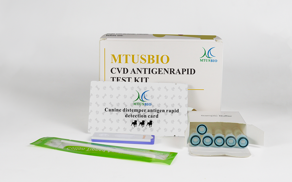 Canine distemper antigen rapid test card