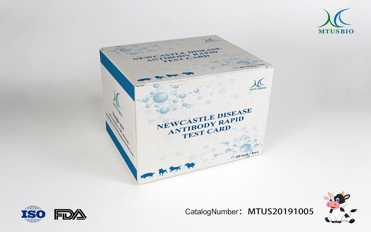 Newcastle disease antibody rapid test card