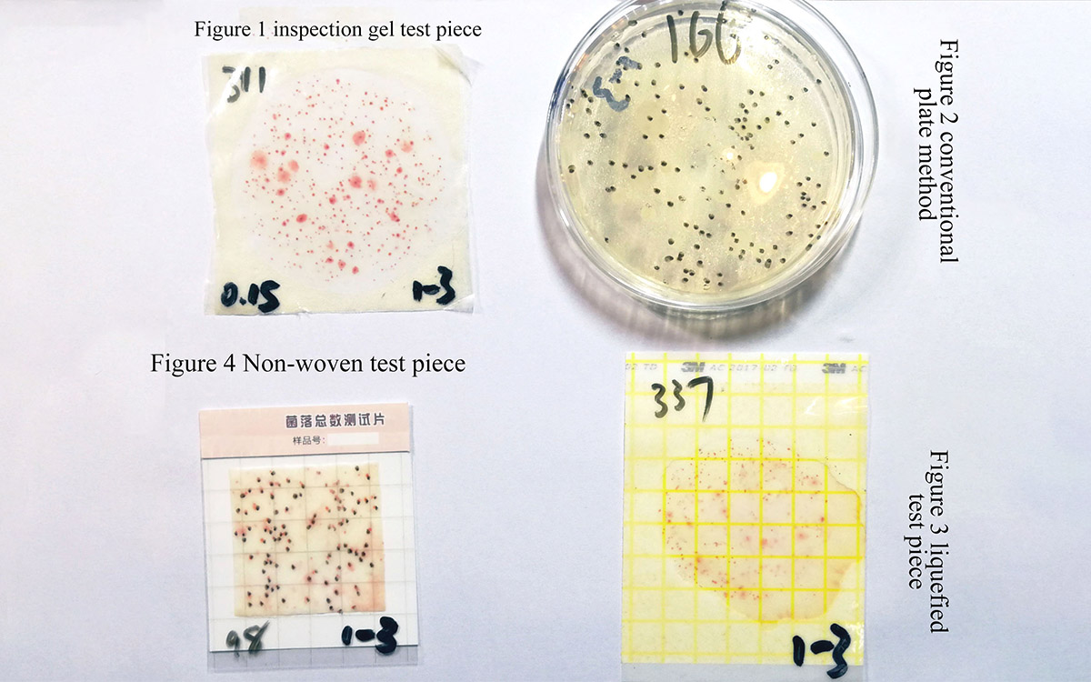 Total number of colony test Plate