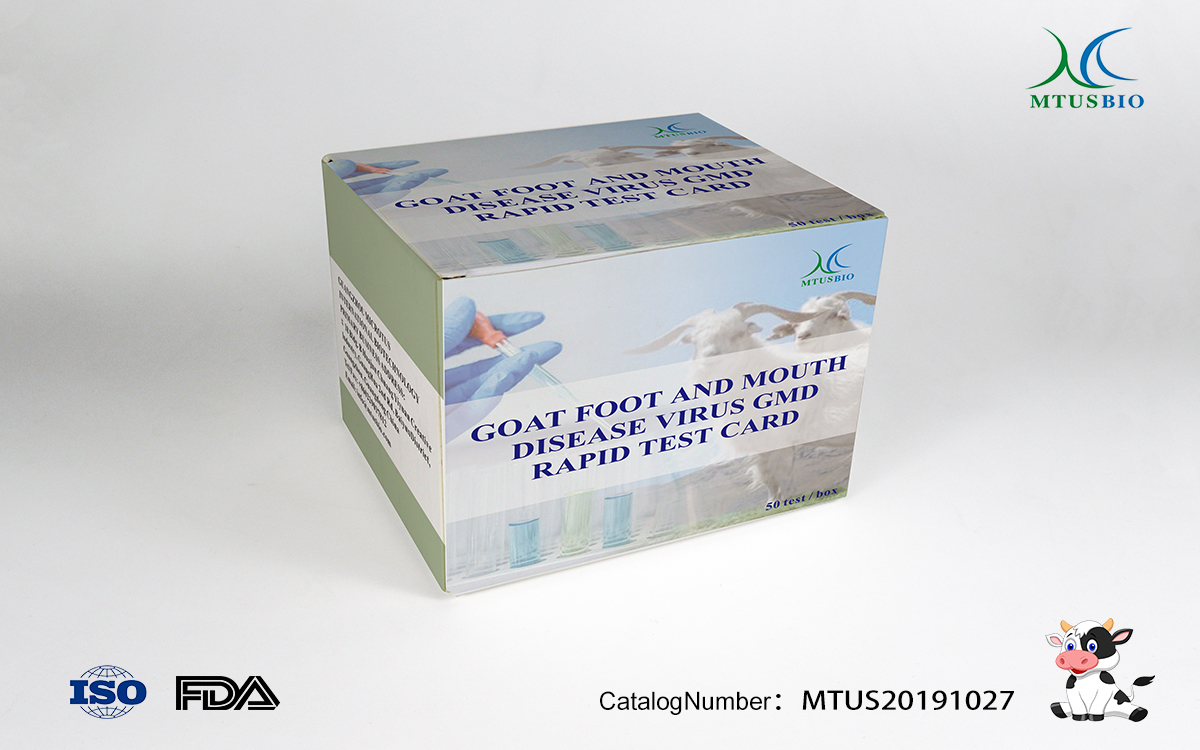  Foot-and-mouth disease virus O-type antibody test card (colloidal gold method)