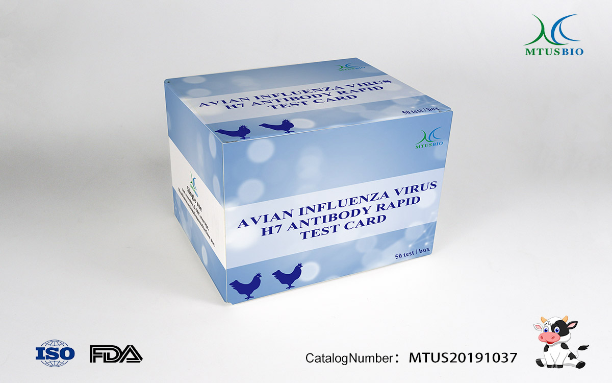 Avian influenza virus H7 antigen rapid test card