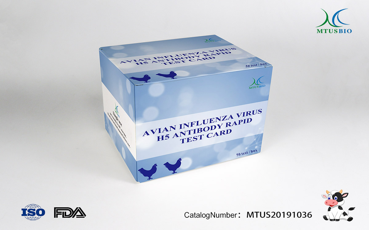 Avian influenza virus H5 antigen rapid test card