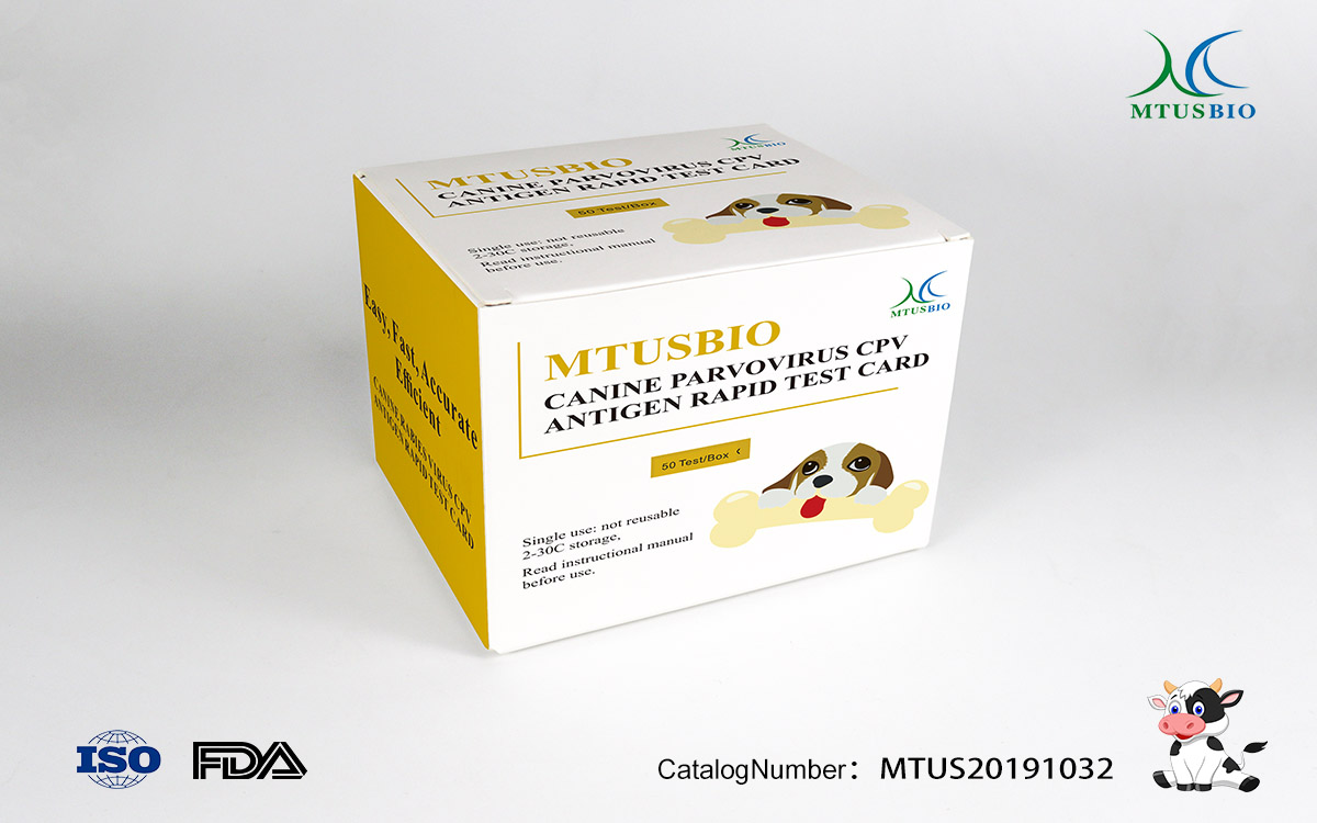 Canine parvovirus antigen test card (colloidal gold method)