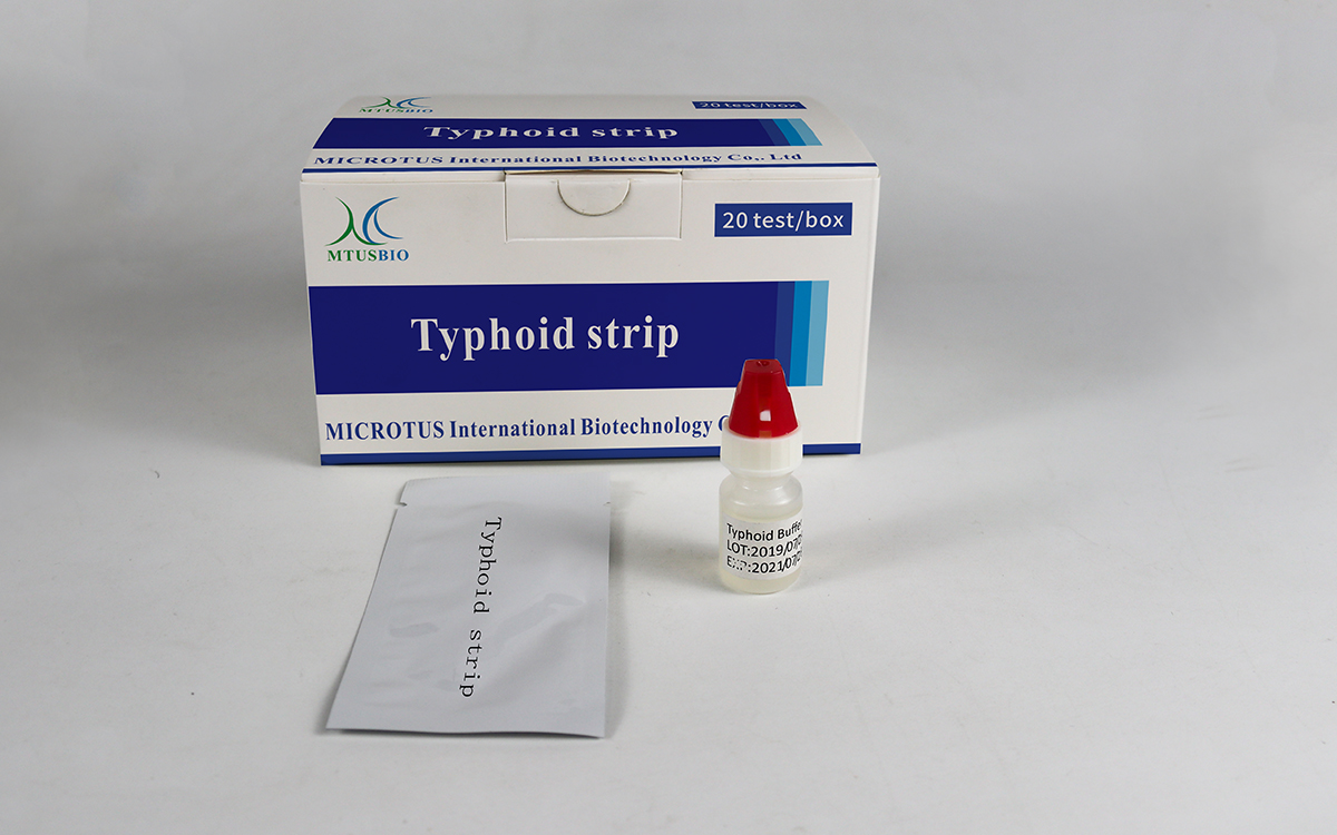 Typhoid IgG/IgM Rapid Test