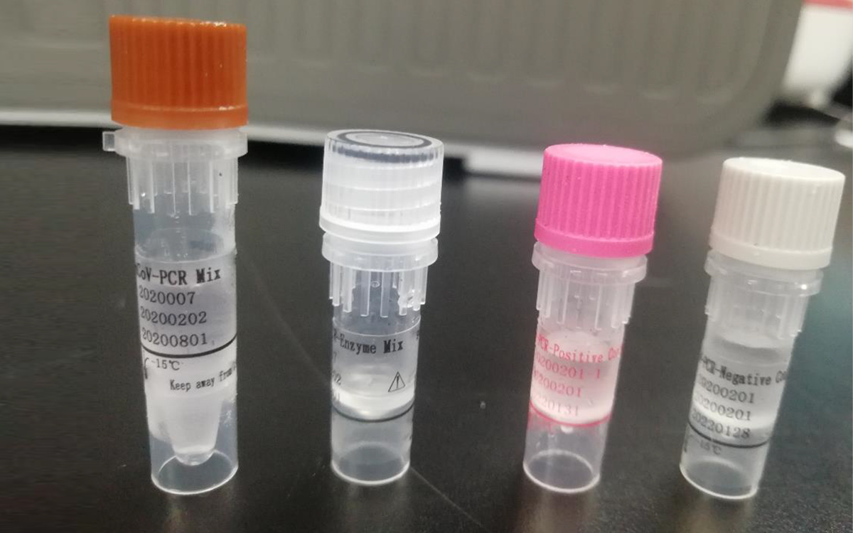 Novel coronavirus(2019-nCoV) nucleic acid diagnostic kit (PCR Fluorescence Probing)