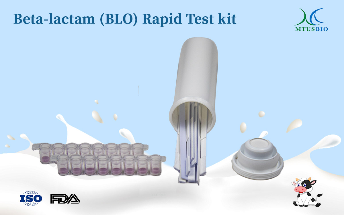 Beta-lactam (BLQ) Rapid Test Kit