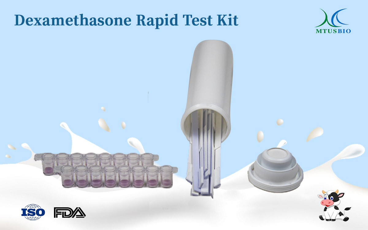 Dexamethasone Quick Test Strip