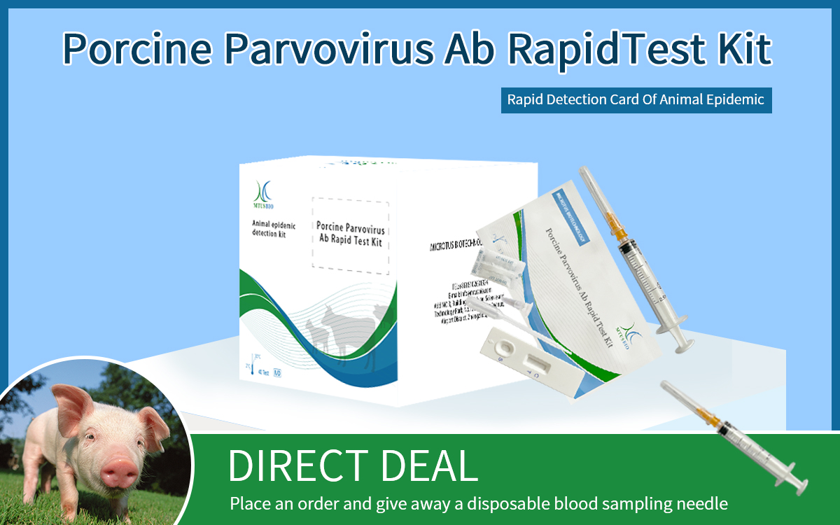 Porcine Parvovirus Ab RapidTest Kit (colloidal gold method)