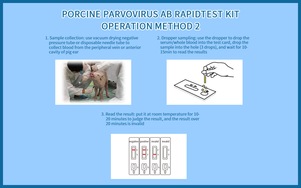 Porcine Parvovirus Ab RapidTest Kit (colloidal gold method)