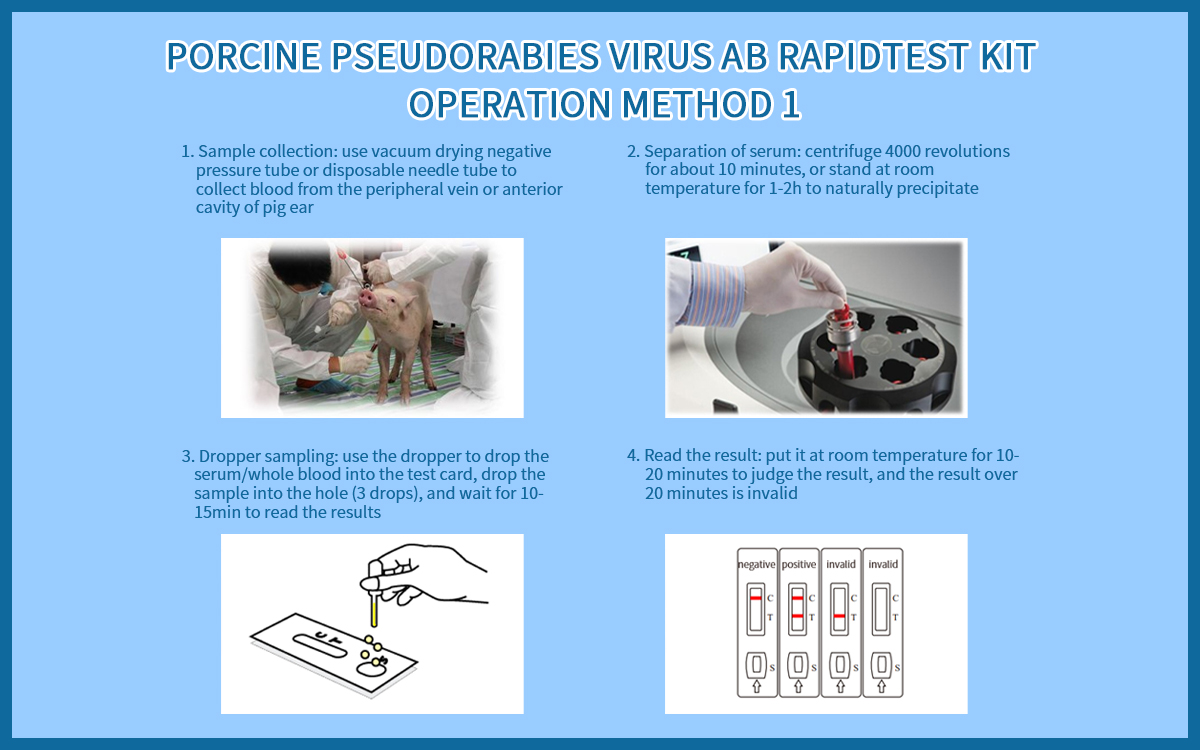 Porcine Pseudorabies Virus Ab RapidTest Kit (colloidal gold method)