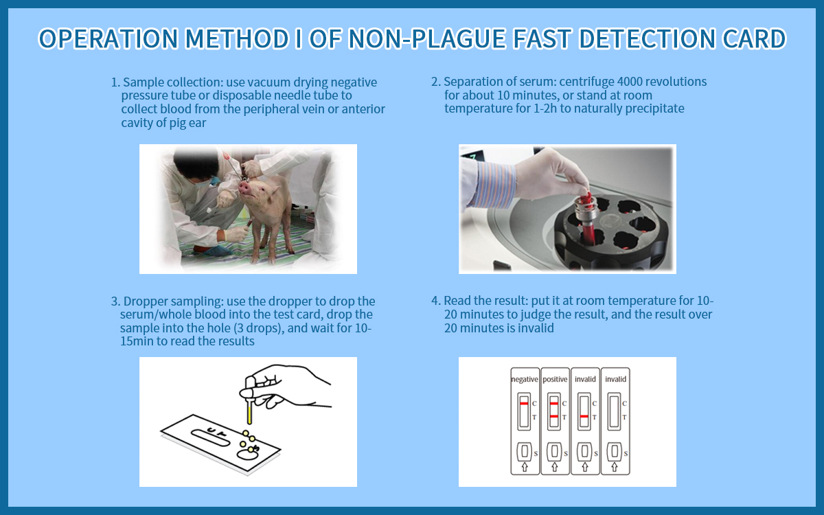 Porcine Toxoplasma Gondi Rapid Test Kit