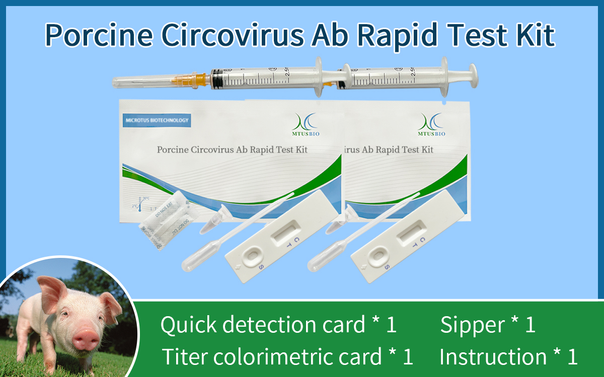 Porcine Circovirus Ab Rapid Test Kit