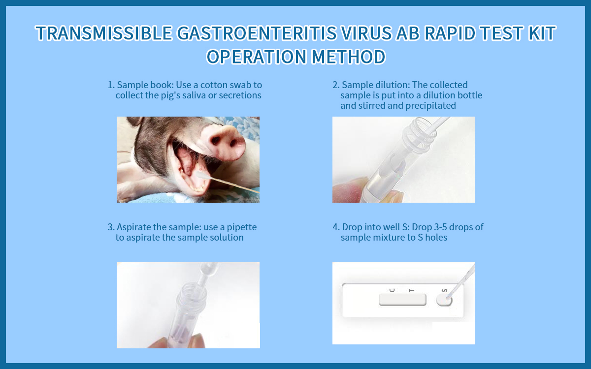 Transmissible Gastroenteritis Virus Ab Rapid Test Kit (colloidal gold method)