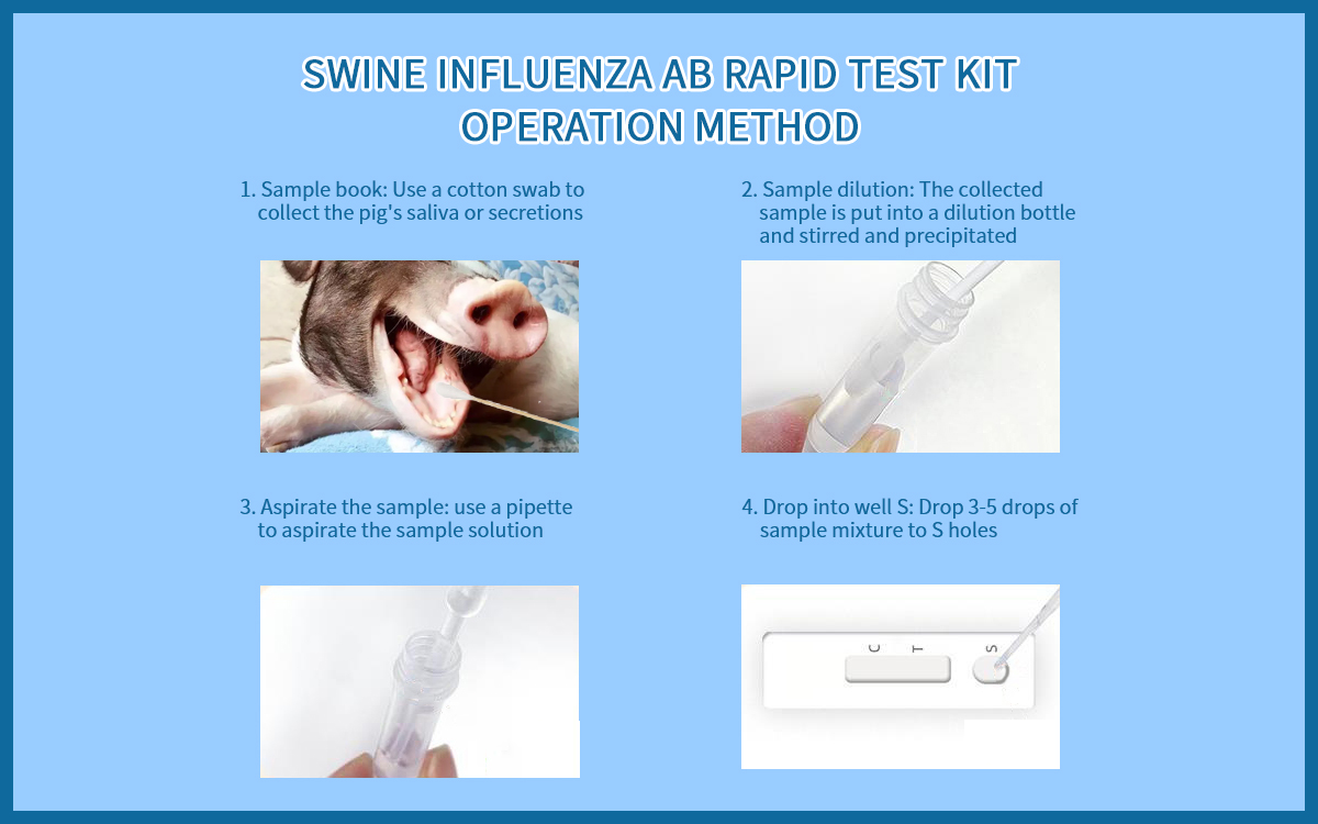 Swine Influenza Ab Rapid Test Kit