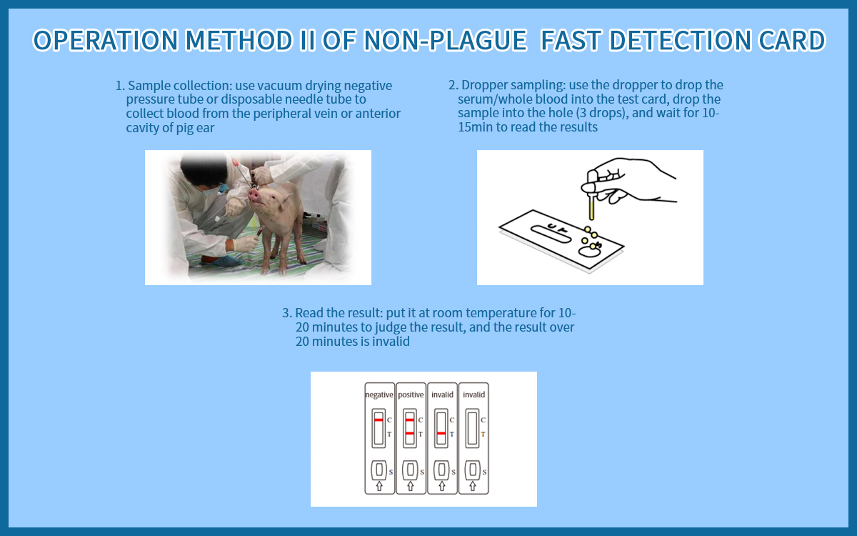 African Swine Fever Virus Ab Rapid Test kit