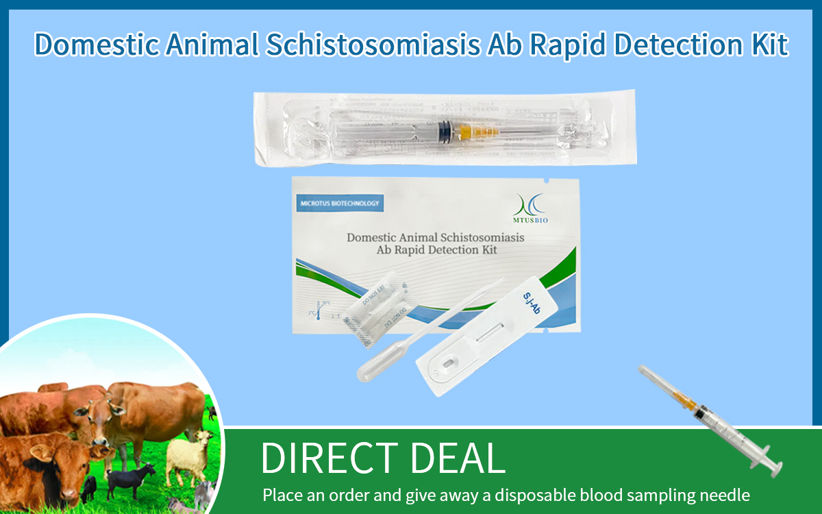 Domestic Animal Schistosomiasis Ab Rapid Detection Kit