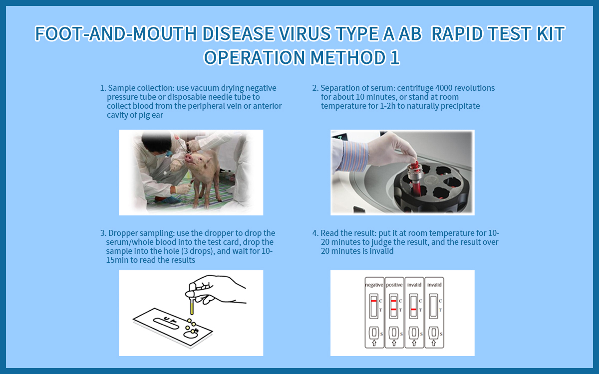 Foot-and-mouth Disease Virus type A Ab Rapid Test Kit