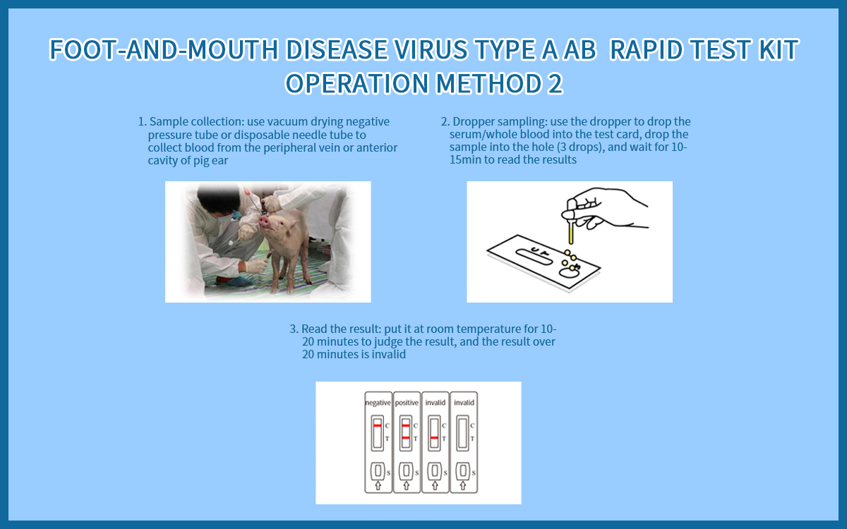 Foot-and-mouth Disease Virus type A Ab Rapid Test Kit