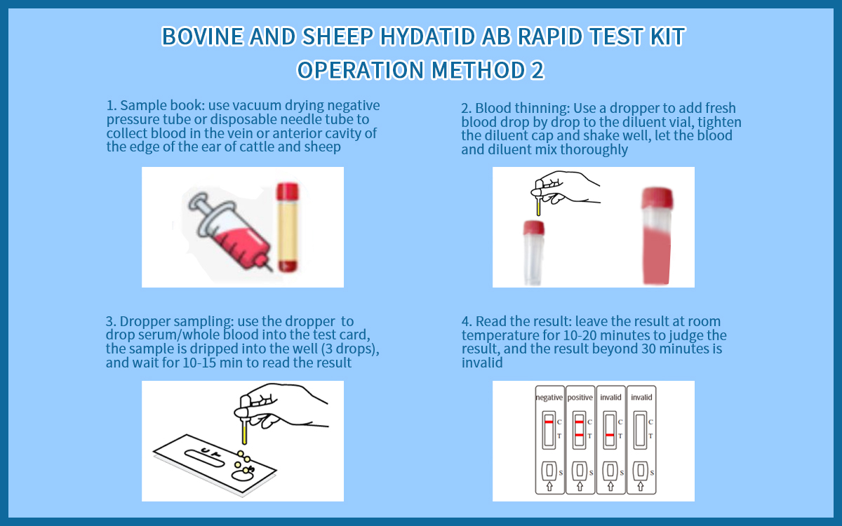 Bovine And Sheep Hydatid Ab Rapid Test Kit