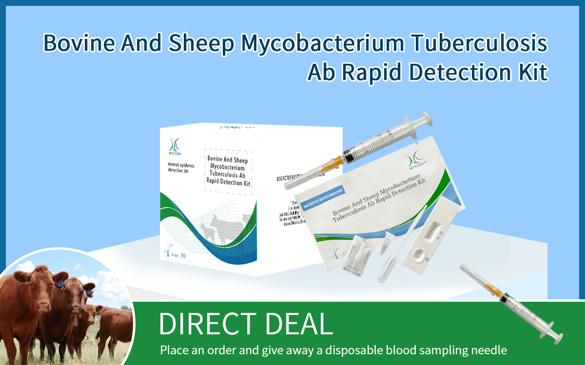 Bovine And Sheep Mycobacterium Tuberculosis Ab Rapid Detection Kit