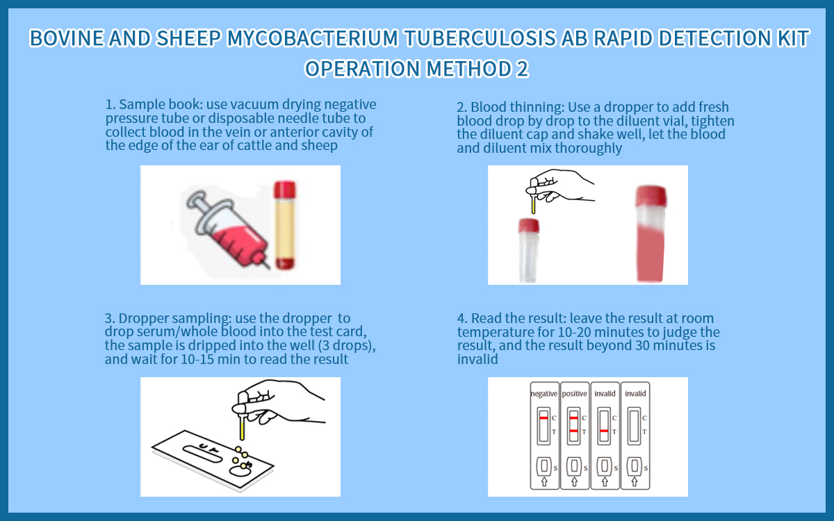 Bovine And Sheep Mycobacterium Tuberculosis Ab Rapid Detection Kit