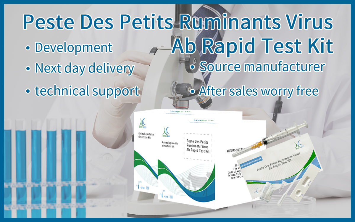 Peste Des Petits Ruminants Virus Ab Rapid Test Kit