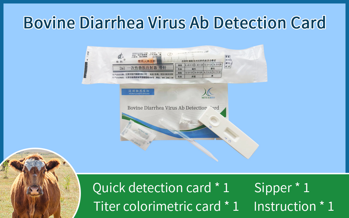 Bovine Diarrhea Virus Ab Detection Card