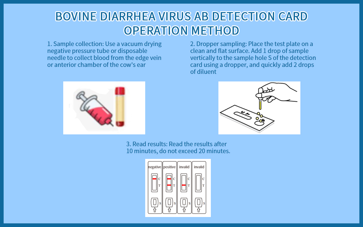 Bovine Diarrhea Virus Ab Detection Card