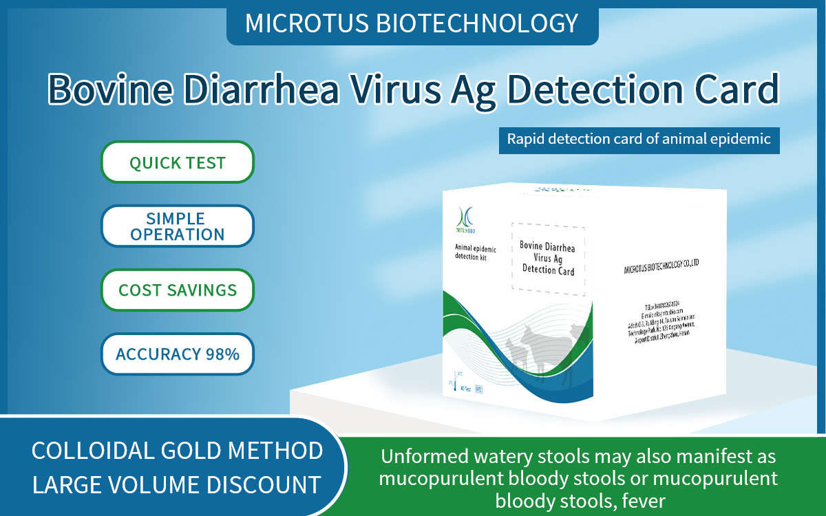 Bovine Diarrhea Virus Ag Detection Card