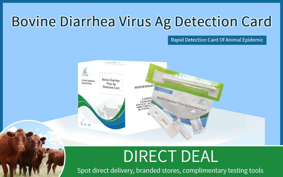 Bovine Diarrhea Virus Ag Detection Card
