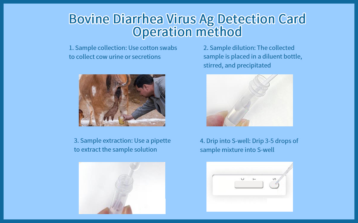 Bovine Diarrhea Virus Five Ag Detection Card