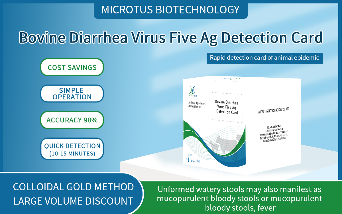 Bovine Diarrhea Virus Five Ag Detection Card