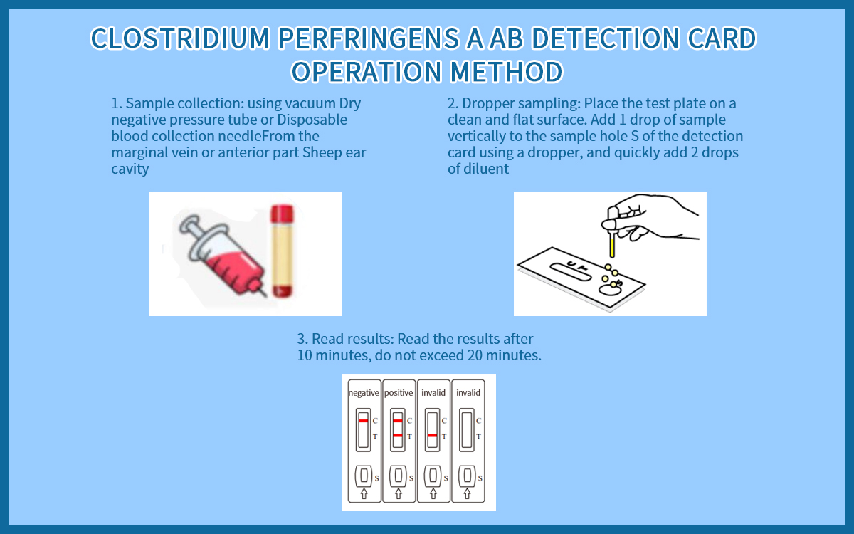 Clostridium perfringens α Ab detection card