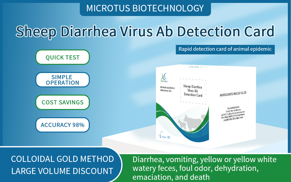 Sheep Diarrhea Virus Ab Detection Card
