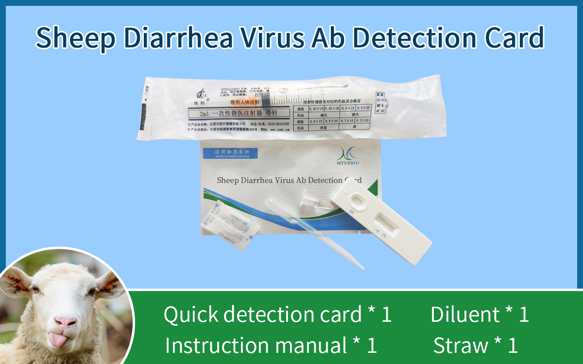 Sheep Diarrhea Virus Ab Detection Card