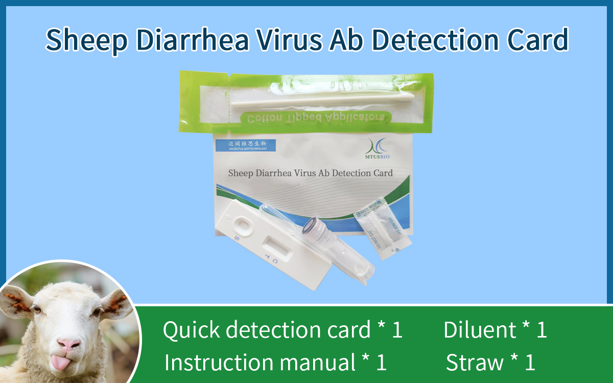 Sheep Diarrhea Virus Ag Detection Card