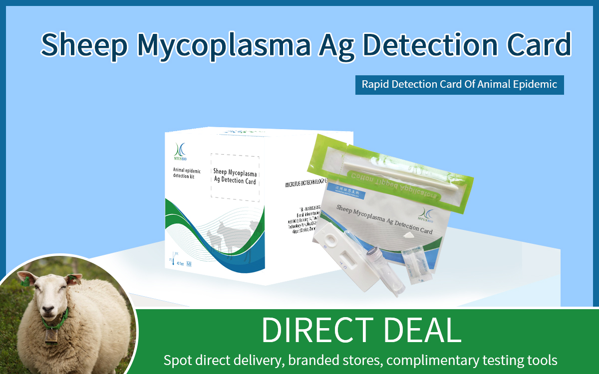 Sheep Mycoplasma Ag Detection Card