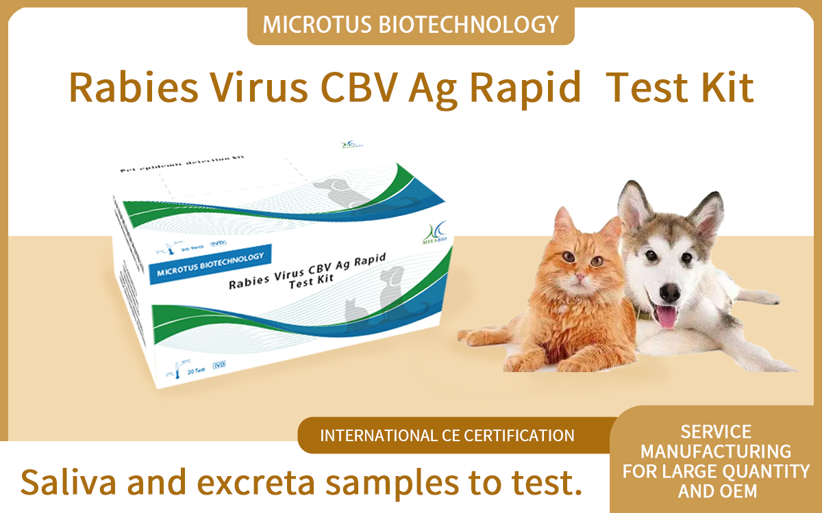 Rabies Virus CBV Ag Rapid Test Kit (colloidal gold method)