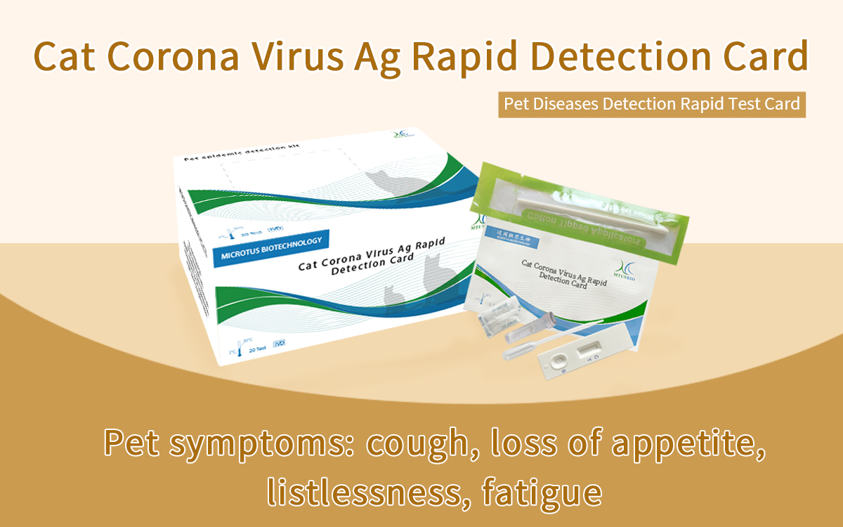Cat Corona Virus Ag Rapid Detection Card
