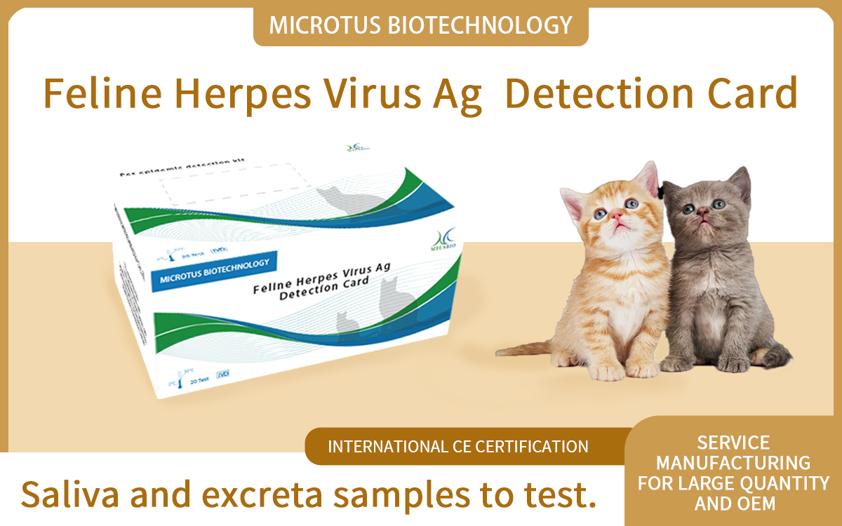 Feline Herpes Virus Ag Detection Card