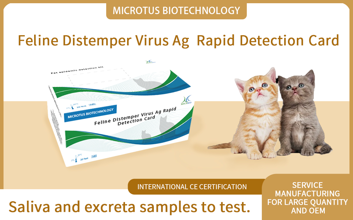 Feline Distemper Virus Ag Rapid Detection Card