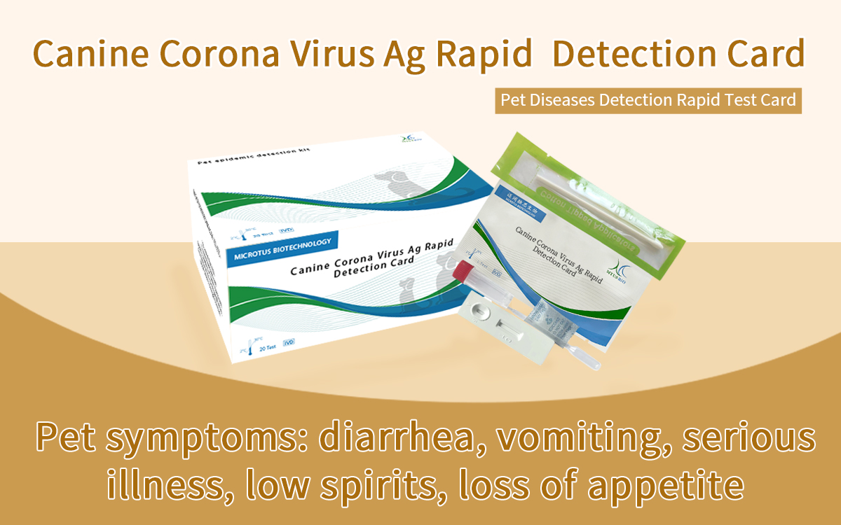 Canine Corona Virus Ag Rapid Detection Card