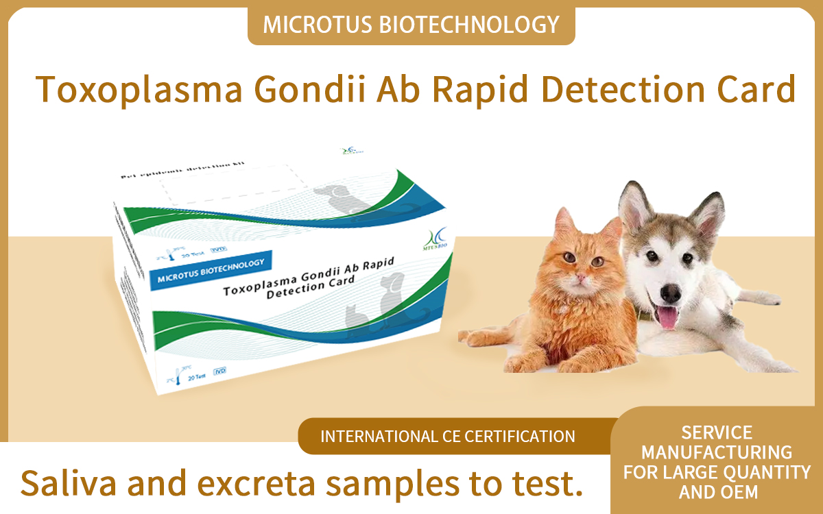 Toxoplasma Gondii Ab Rapid Detection Card