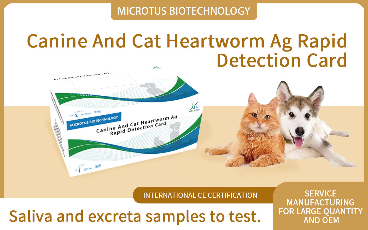Canine And Cat Heartworm Ag Rapid Detection Card