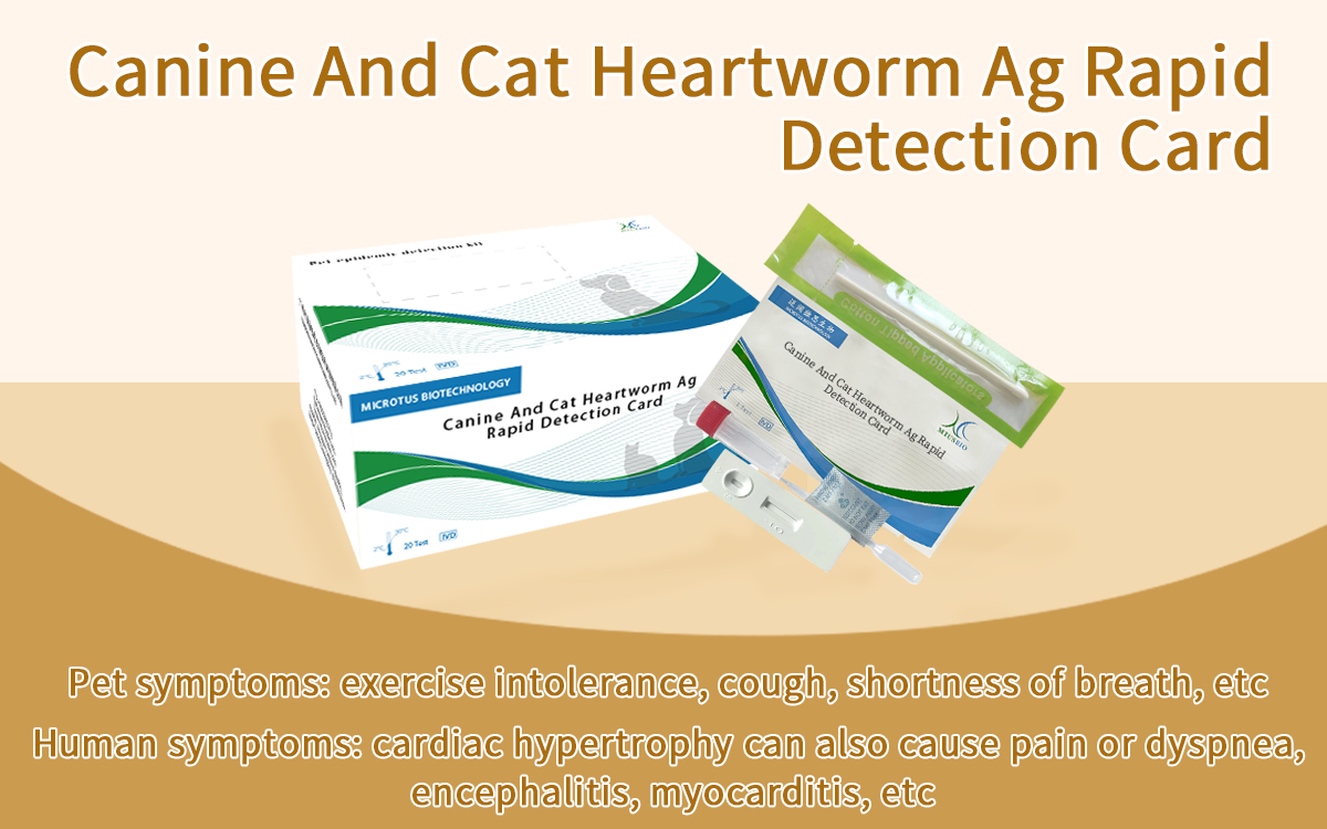 Canine And Cat Heartworm Ag Rapid Detection Card