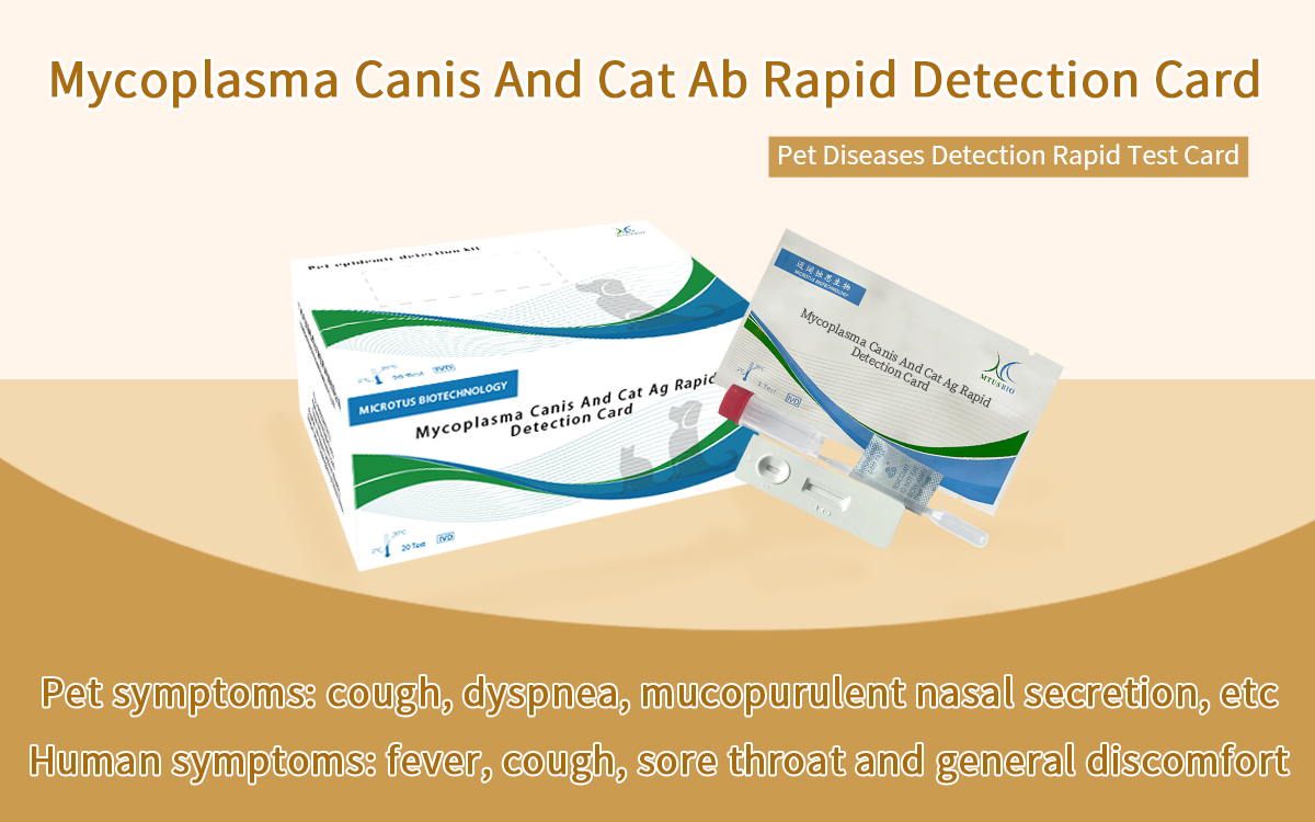Mycoplasma Canis And Cat Ab Rapid Detection Card