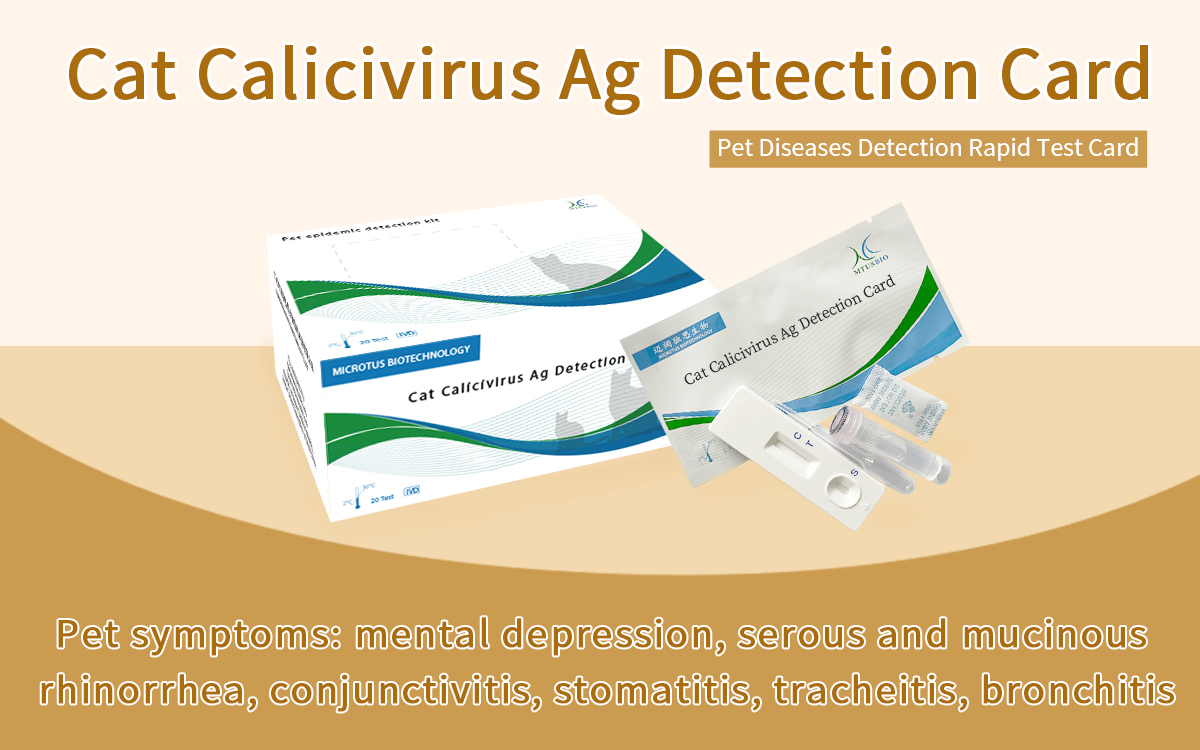 Cat Calicivirus Ag Detection Card